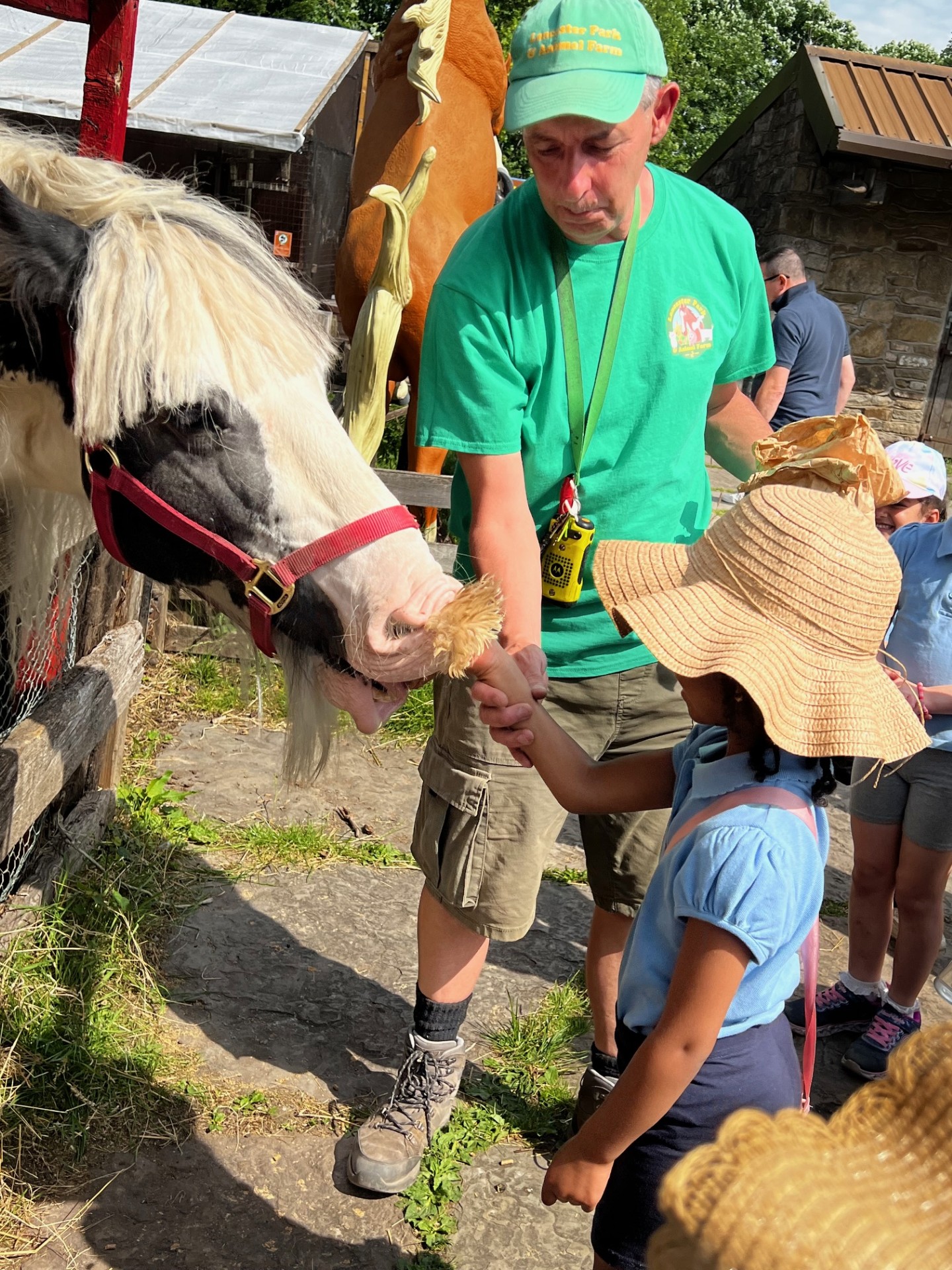 Year 1 Lancaster Park and Animal Farm