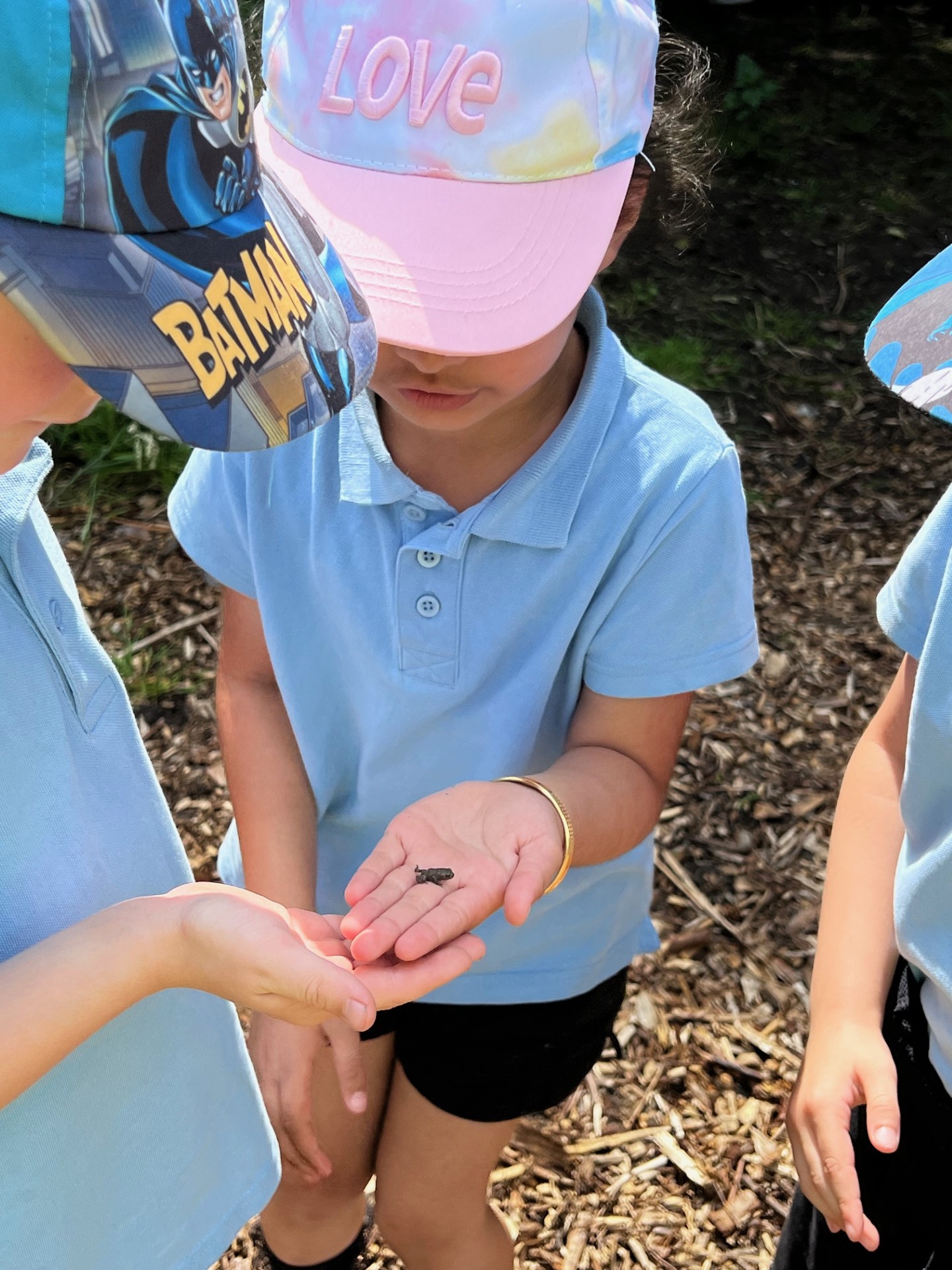 Year 1 Lancaster Park and Animal Farm