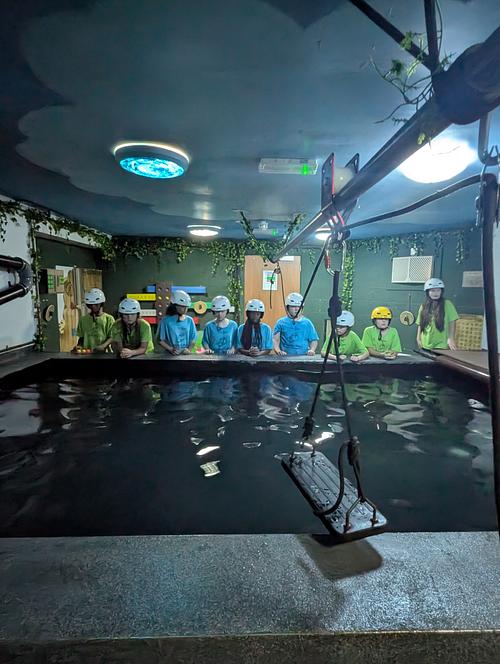 Facing our Fears - Piranha Pool