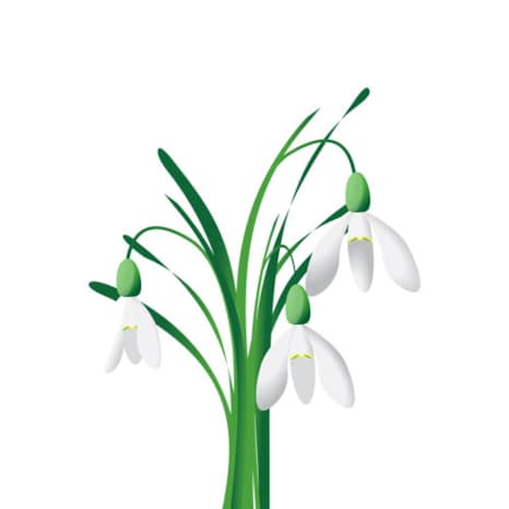 Snowdrops Class Reception Dojo | Reception | Year Groups | Abbey Hey Primary Academy