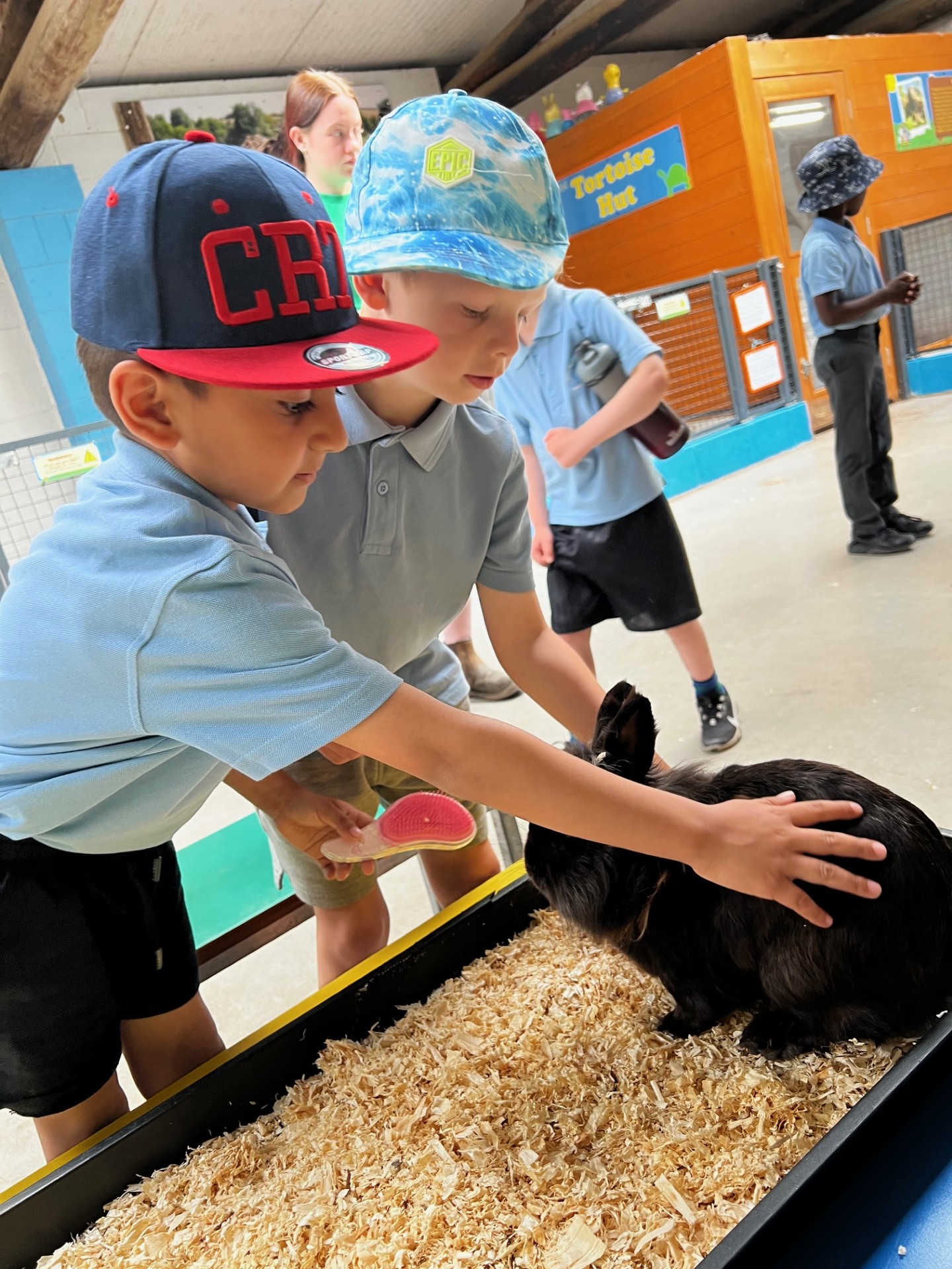 Year 1 Lancaster Park and Animal Farm