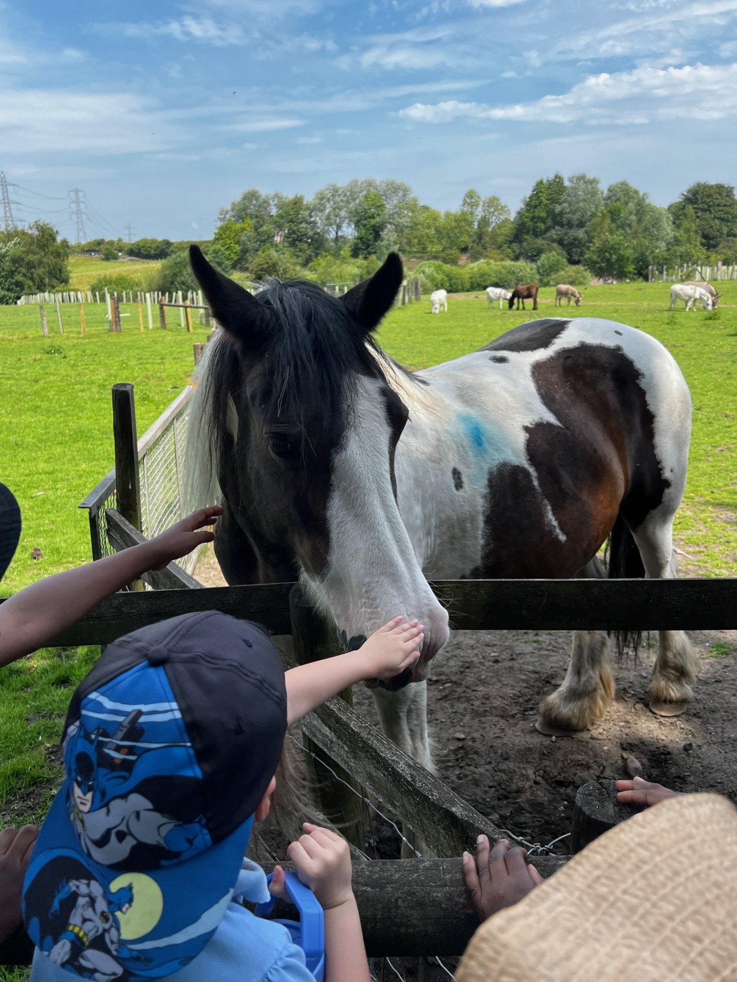 Year 1 Lancaster Park and Animal Farm