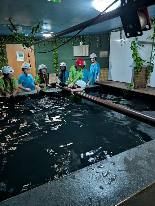 Piranha Pool