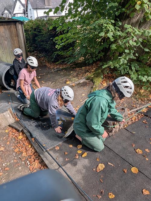 Team Work