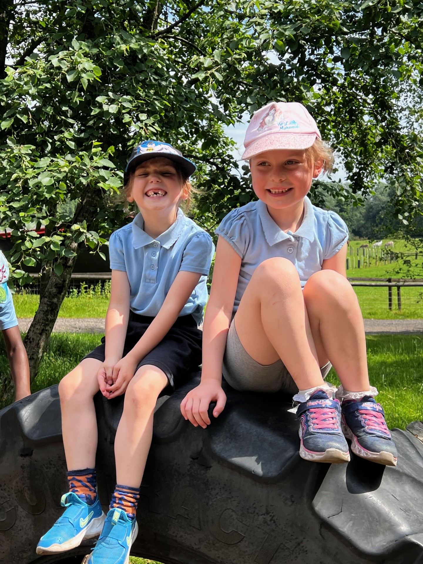 Year 1 Lancaster Park and Animal Farm