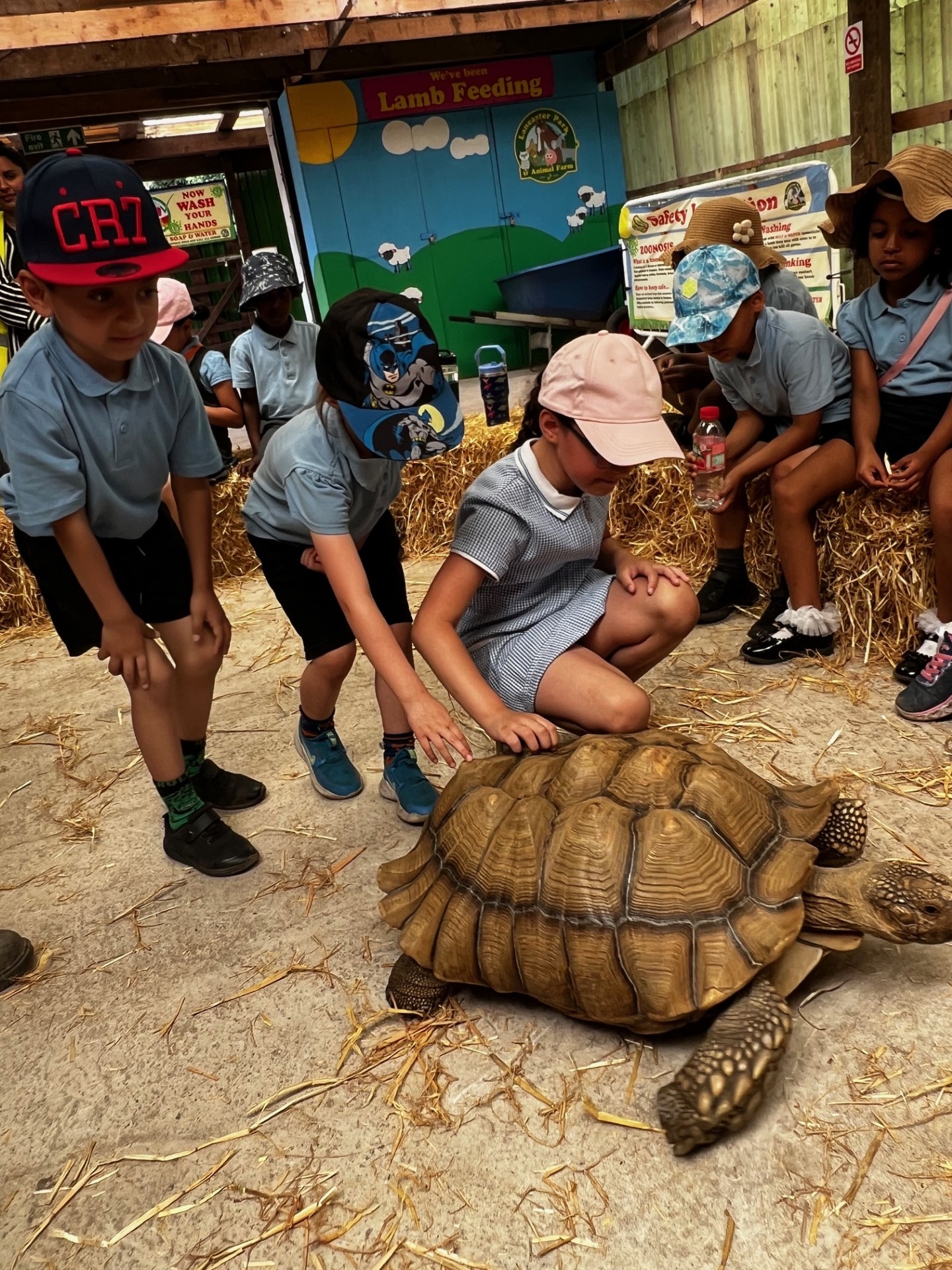 Year 1 Lancaster Park and Animal Farm