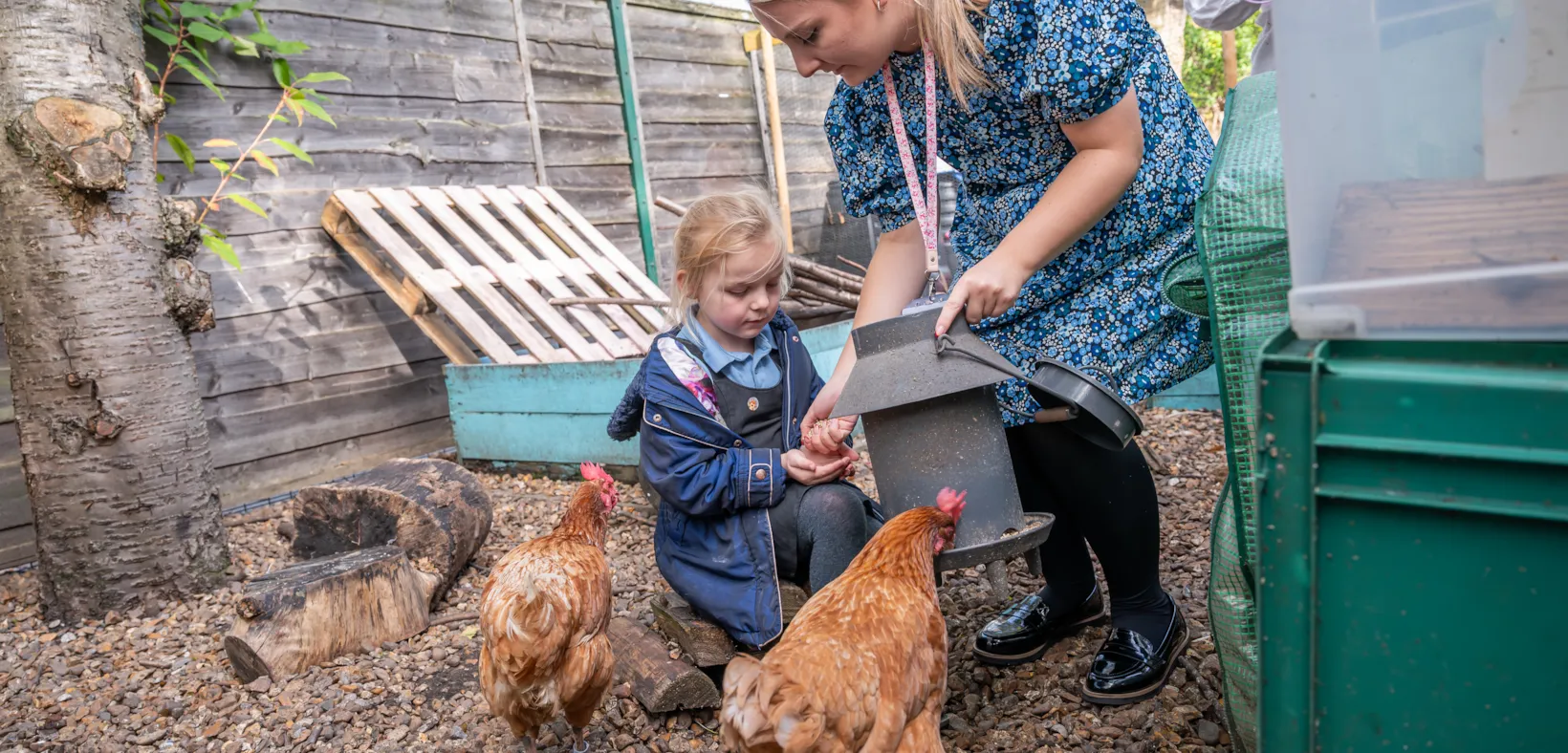 Abbey Hey Primary Academy photo